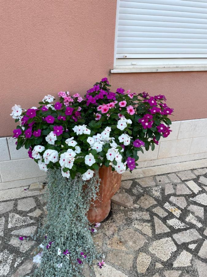 Hotel Apartman Jukic à Marina Extérieur photo